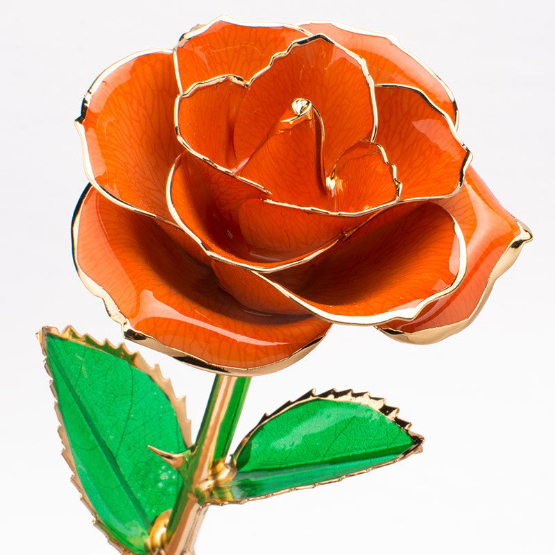 Gold-plated Rose Flower