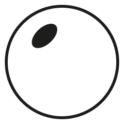 Kryptok